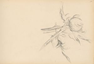 Thistle