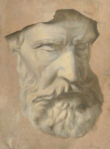 Head study