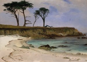 Sea Cove