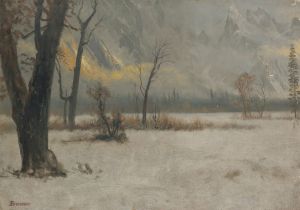 Winter Landscape