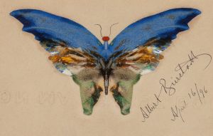 Blue Butterfly