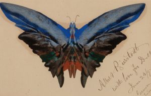 Butterfly, For Dell