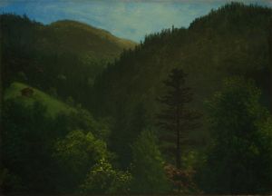 Wooded Landscape