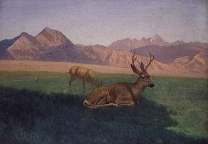 Deer