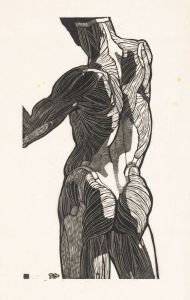 Anatomische studie van de rug- en bilspieren van een man