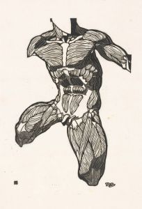Anatomische studie van de nek-, buik- en bovenbeenspieren van een man