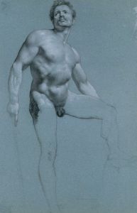 Standing Male Nude