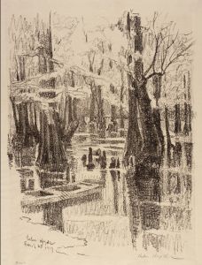 Cypress Swamp