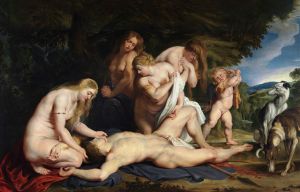 The Death of Adonis
