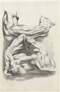 Muscles