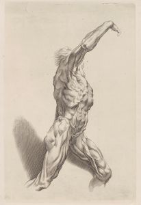 Nude Study