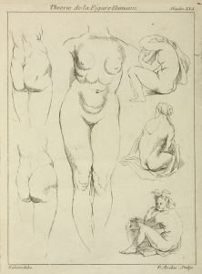 Studies of the female torso, buttocks, and seated figures, dorsal view
