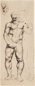 Hercules