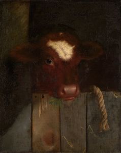 The Family Cow