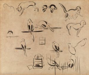 Study of Birds