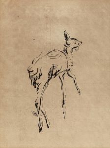 Young Deer