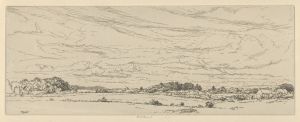 Boubier’s Field