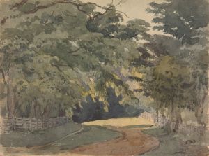 Tree-lined Lane