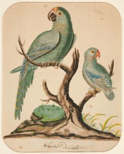 Two Parrots on a Barren Tree