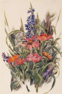 Zinnias, Larkspur and Daisies