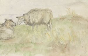 Twee schapen