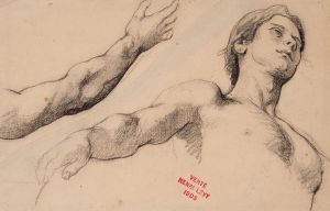 Etude de jeune homme en buste et étude d’un bras