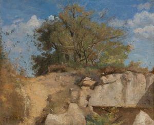 Fontainebleau, Sommet De Carrière Boisée