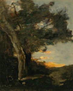 Coucher De Soleil Avec Une Lionne