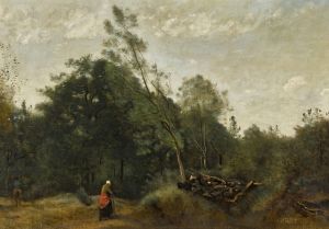 Lisière de bois en Limousin