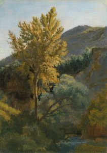 Etude d’arbre près d’un torrent en Italie