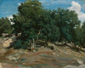 Fontainebleau; Oak Trees at Bas-Bréau