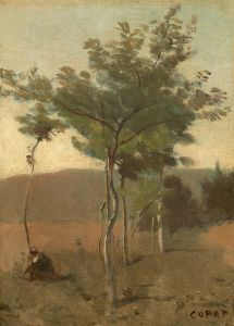 Bouquet d‘arbres, effet de crépuscule