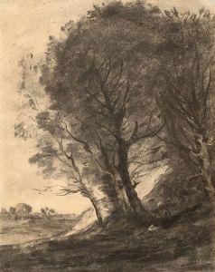 Figure assise dans un paysage arboré
