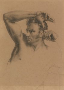 Half-Length Male Nude