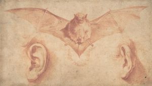 Studies of Two Ears and of a Bat.