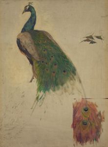 The sciences, study for peacock in tympanum