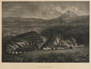 Tigre Royal