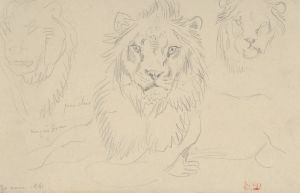 A Lion, Full Face