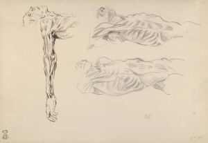Écorché; Three Studies of a Male Cadaver