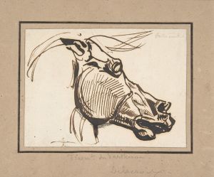 Head of a Horse, after the Parthenon