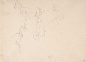 Studies of a Goat