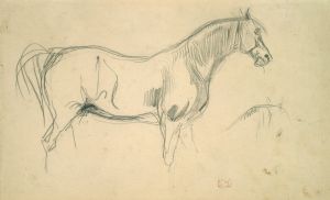Studies of a Horse in Profile