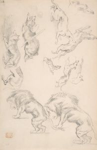 Studies of Animals