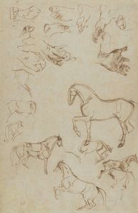 Studies of Horses, Hands, and Feet