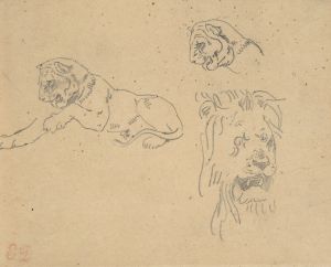 Three Studies of a Lion