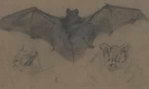 Bat