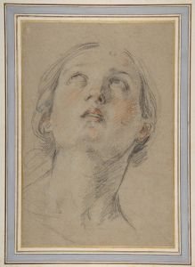 The Head of a Woman Looking Up
