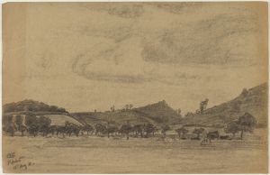 Hügelige Landschaft mit Baumreihe