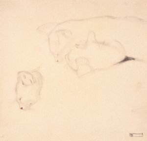 Cats. Studies