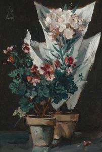 Still life with potted geraniums